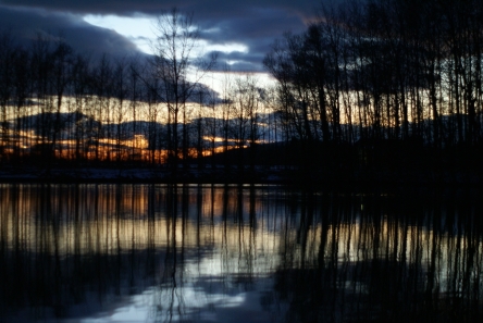 Random Photo